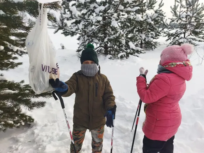 Квест на лыжах (7)