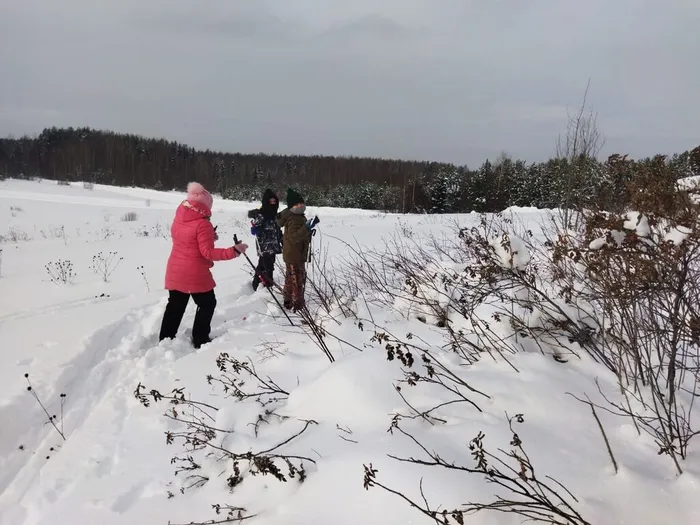 Зимний квест (4)