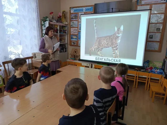 О кошках.. (2)