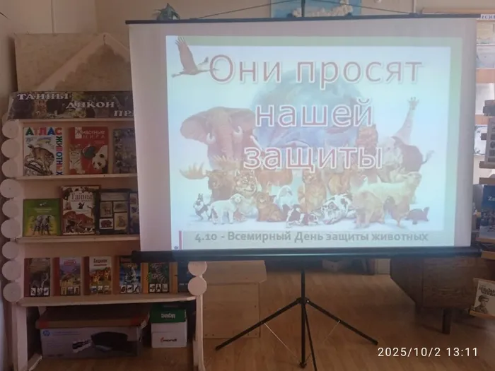 День животных, Детская б-ка (3)
