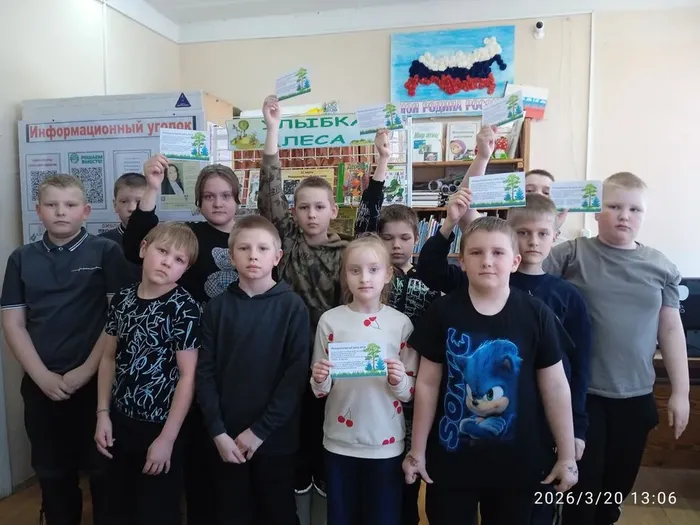День леса, ДБ (2)