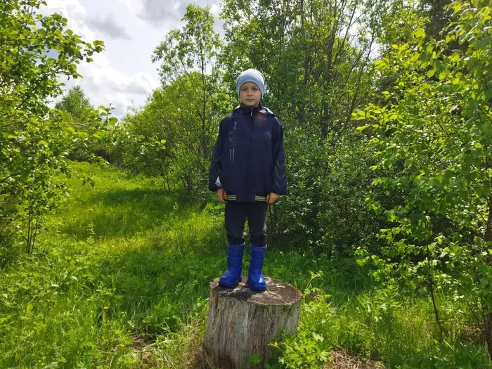 Летний калейдоскоп (8)