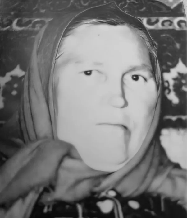 Аристова Т.Д