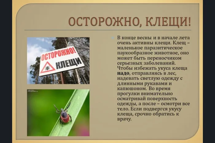Осторожно, клещи