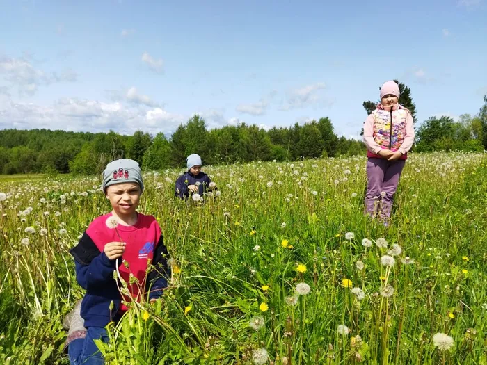 Летний калейдоскоп (7)