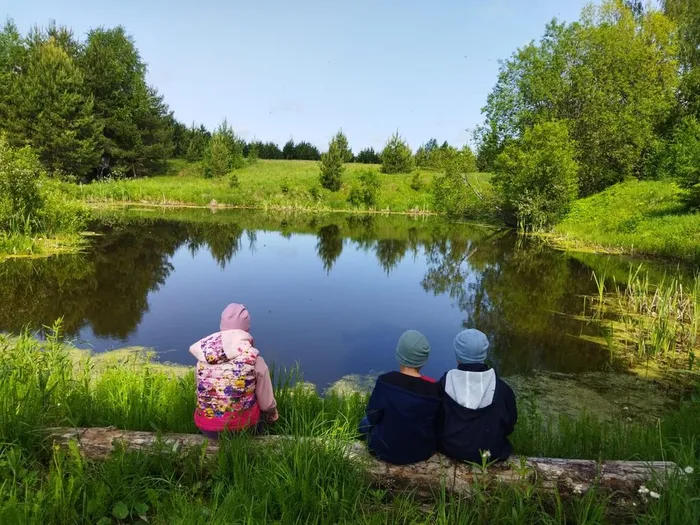 Летний калейдоскоп (4)