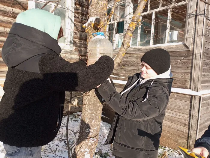синичкин день тематический час