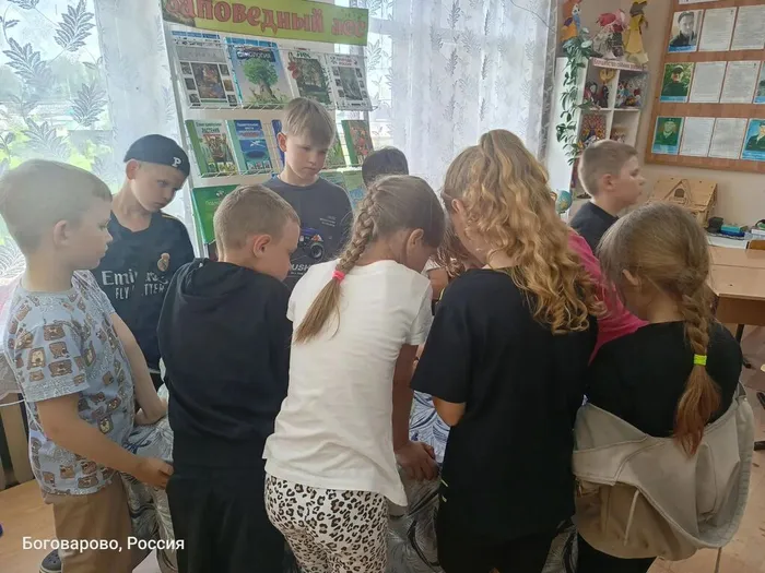 Заповедный лес (8)