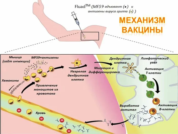 Слайд18