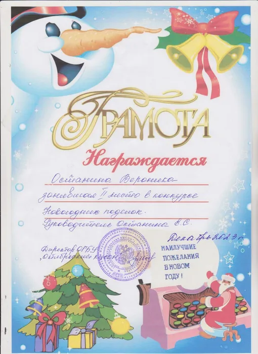 Останина Вероника, 2 место