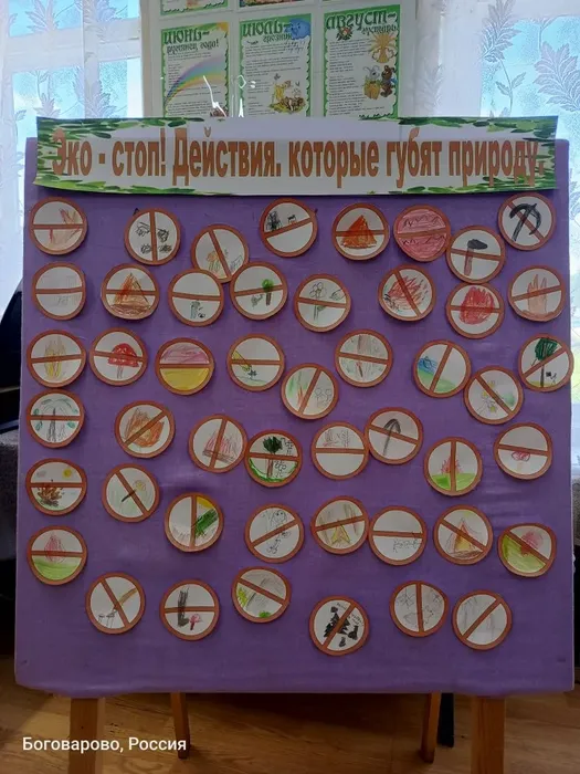 Детская библиотека. Экологическая игра «Звуки природы