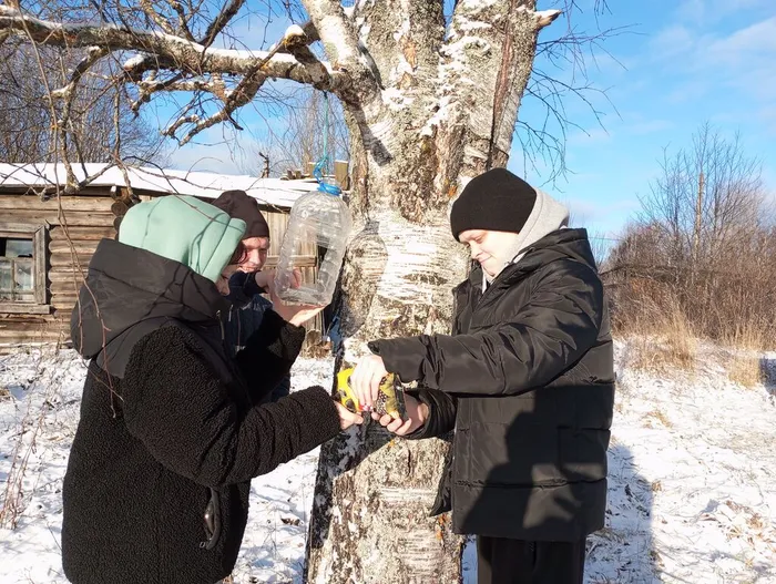 1синичкин день тематический час