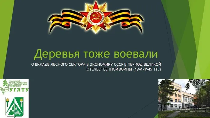 Соловецкая поселенческая библиотека. РВО «РМиД». Патриотический час «Деревья тоже воевали». (2)