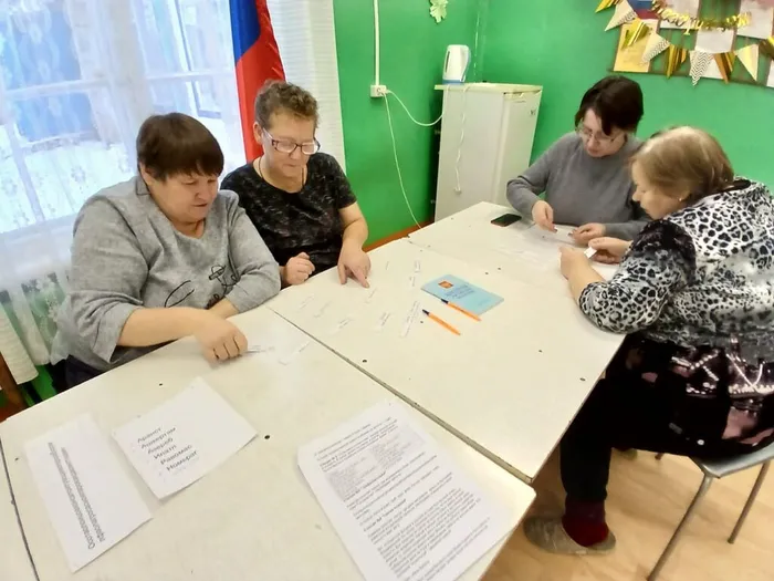 День конституции. Власовская библиотека (3)