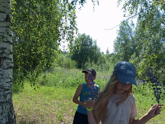 РВО в Соловецком (4)