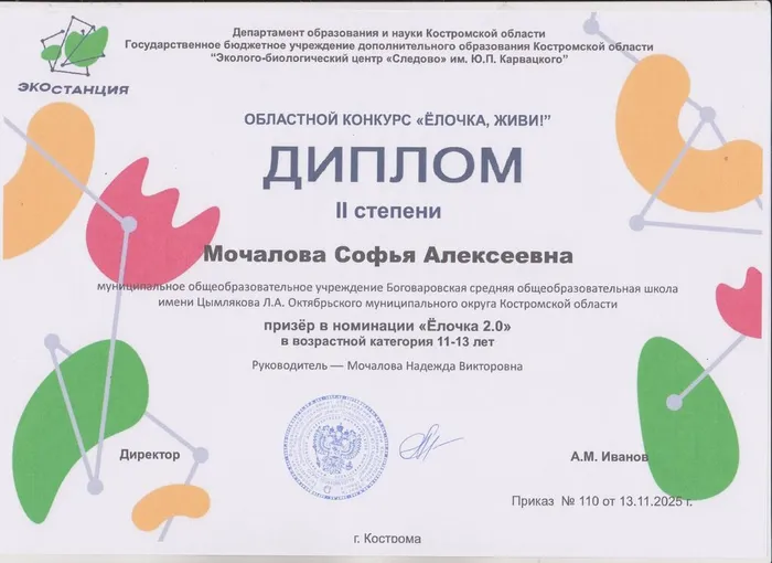Диплом 2 ст. Мочалова Софья, Следово