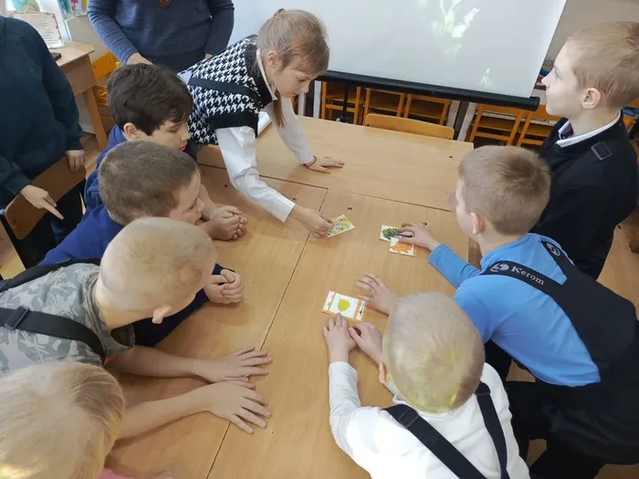 Мир дикой природы, ДБ (3)