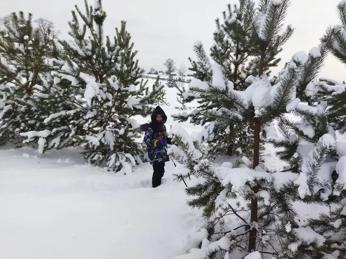 Квест на лыжах (1)