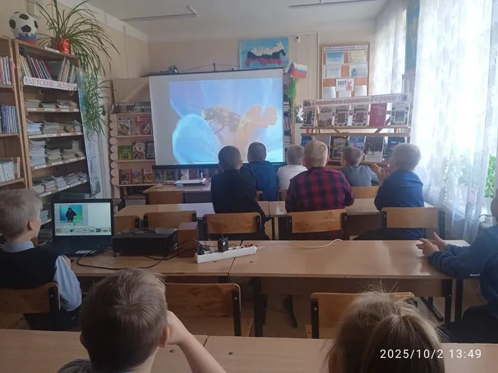 День животных, Детская б-ка (2)