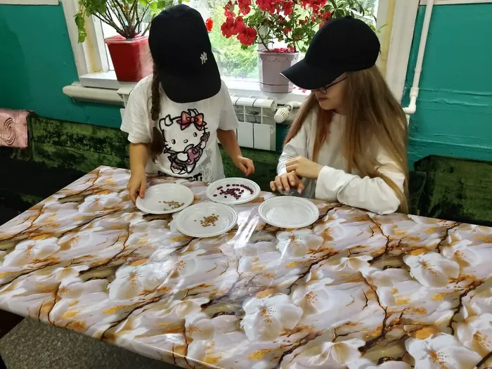 Лебедевская поселенческая библиотека. Лебедевский сельский клуб. познавательно-игровая программа «Мульти-пульти».