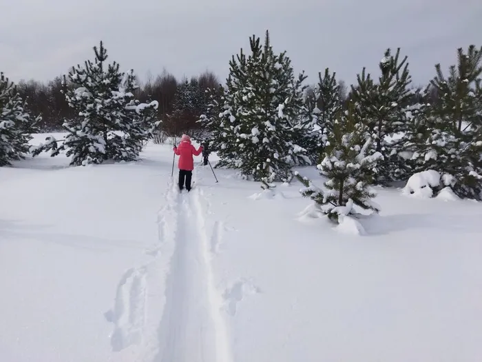 Зимний квест (2)