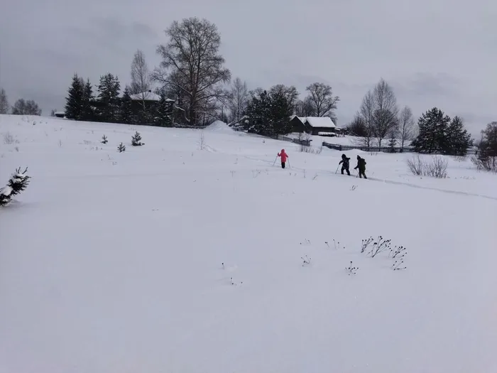 Квест на лыжах (6)