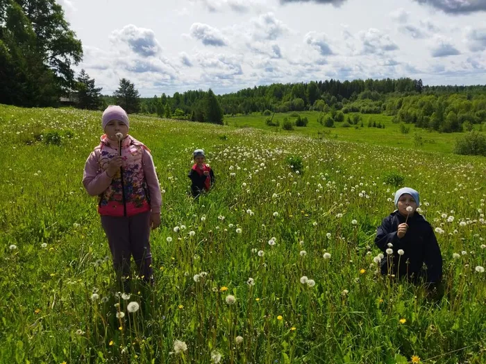 Летний калейдоскоп (6)