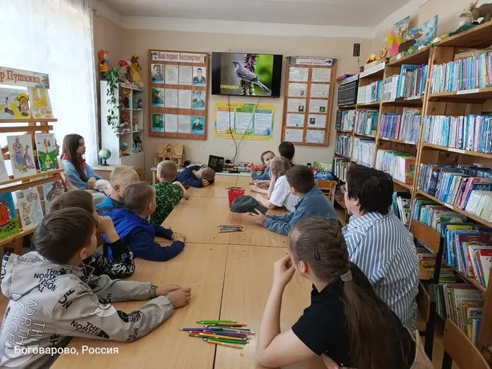 Детская библиотека. Экологическая игра «Звуки природы