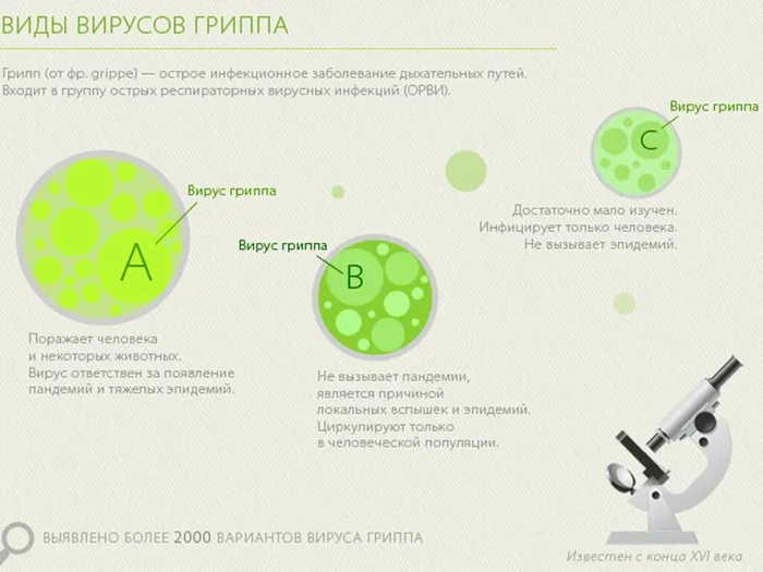 Слайд6
