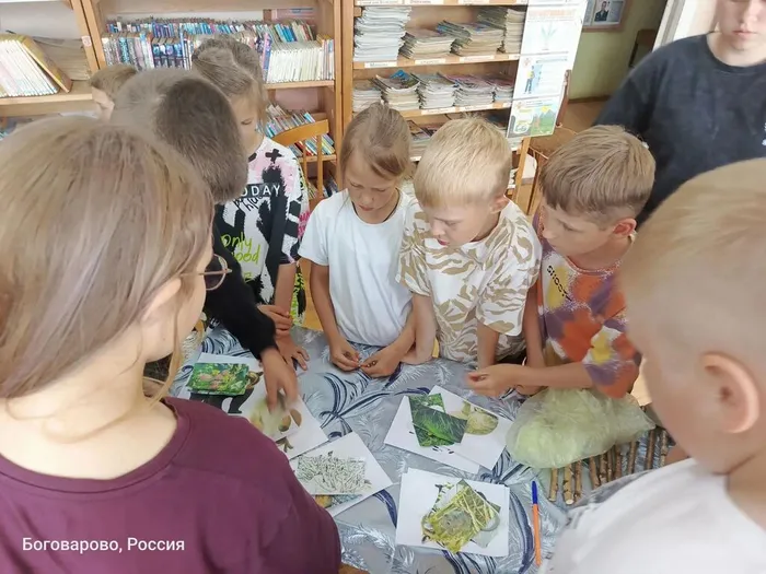 Заповедный лес (6)
